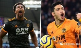 狼队转会期最新爆料球员,揭秘新赛季引援新面孔